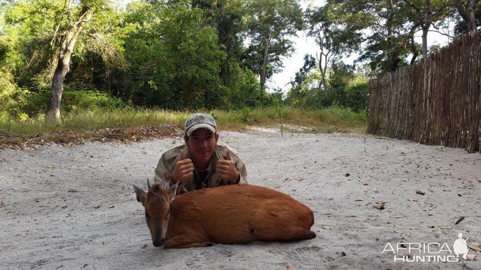 Mozambique Hunt Red Duiker