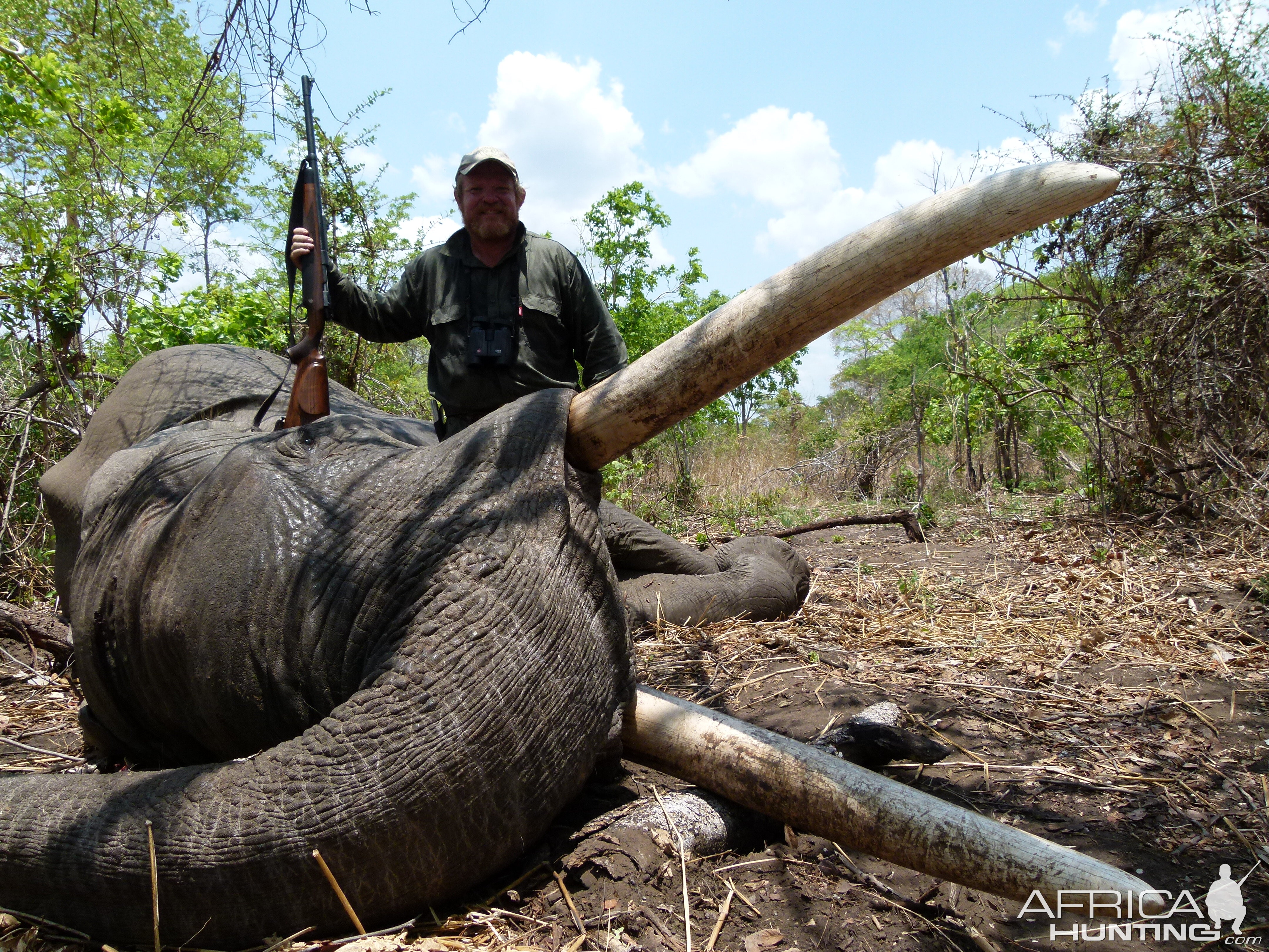 Mozambique Hunting Elephant 88 Lbs