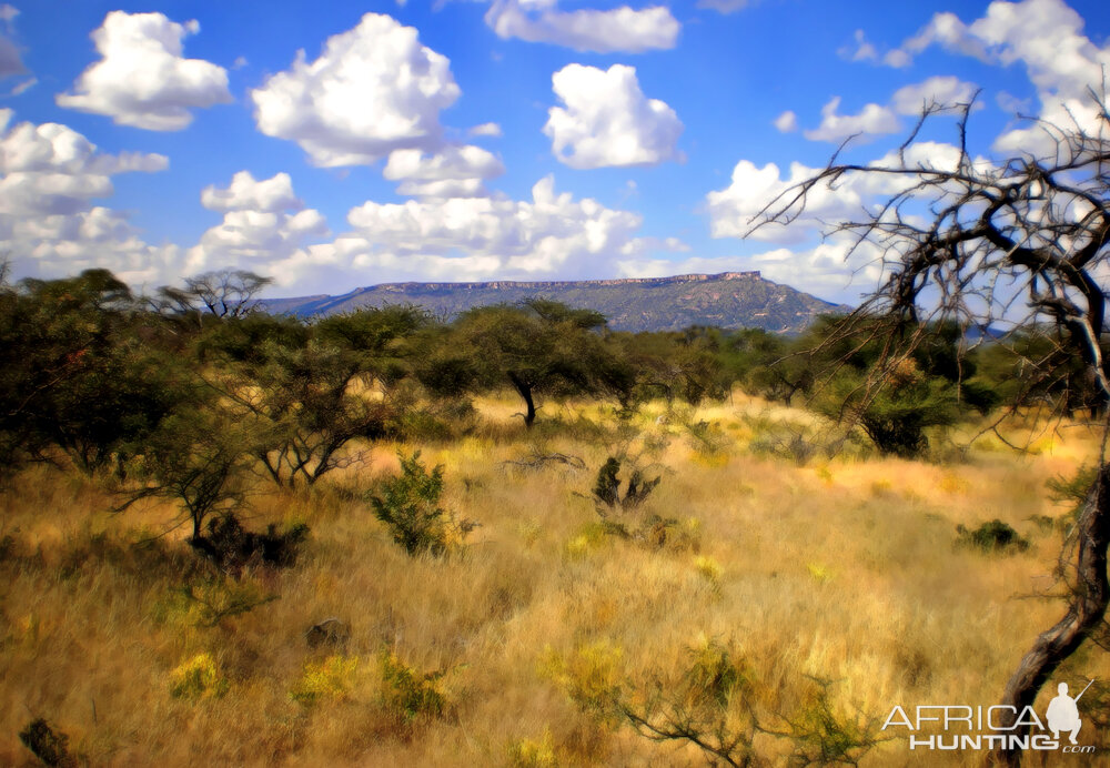 Mt. Etjo Plateau in Namibia