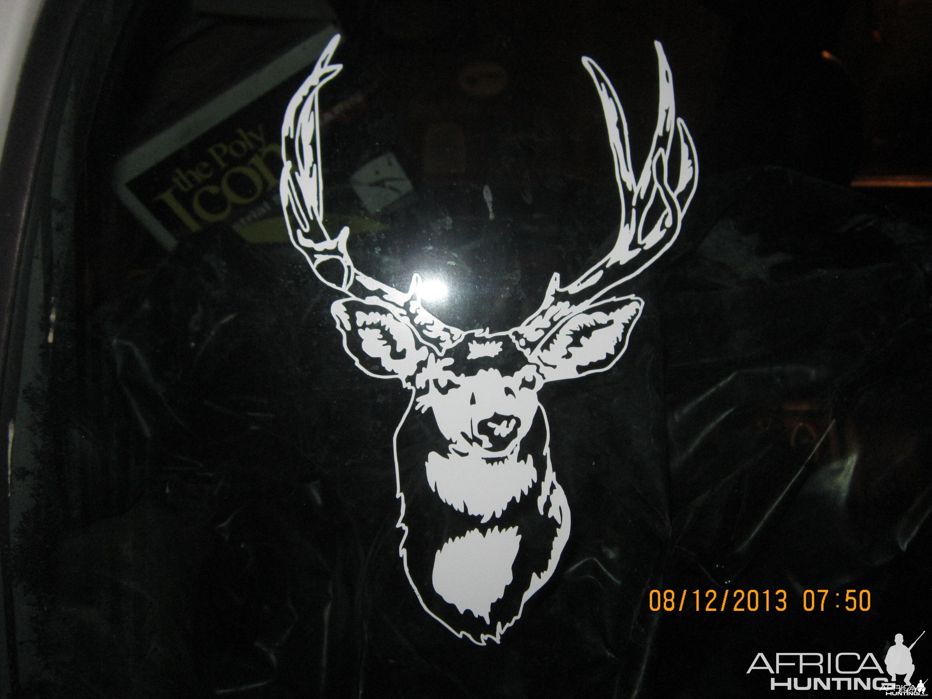 Mule Deer Decal Stickers