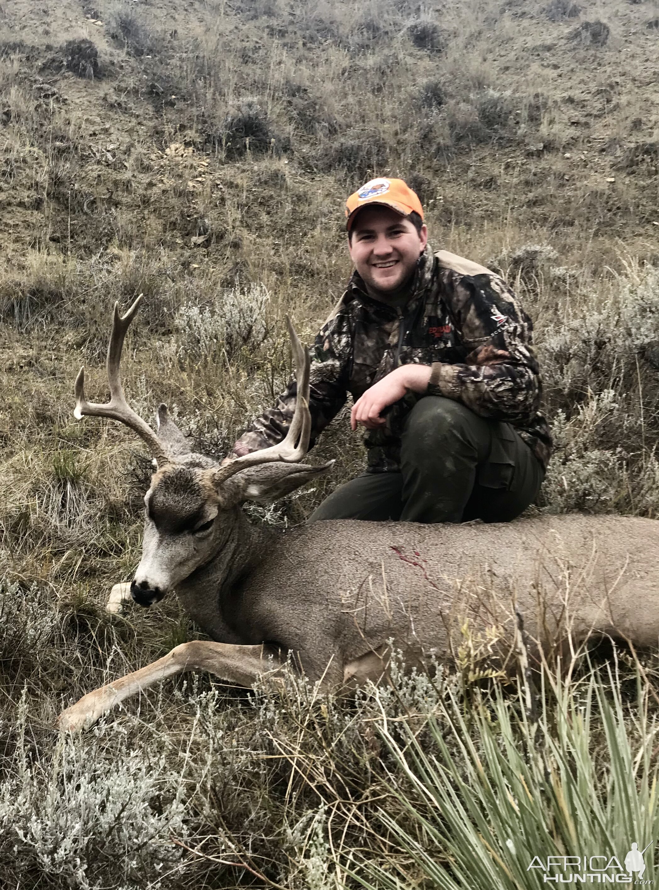 Mule Deer Hunt Wyoming USA