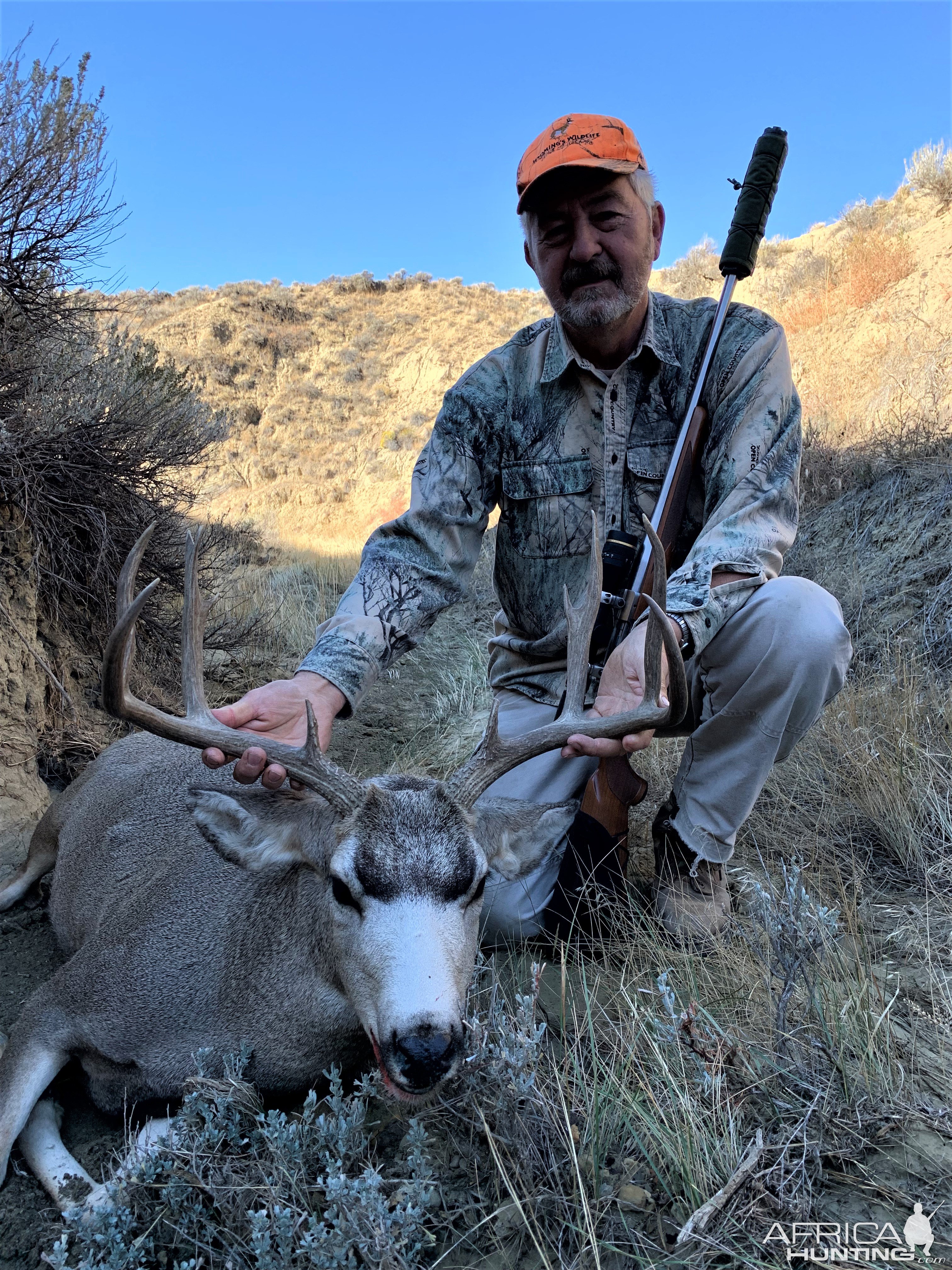 Mule Deer Hunt Wyoming