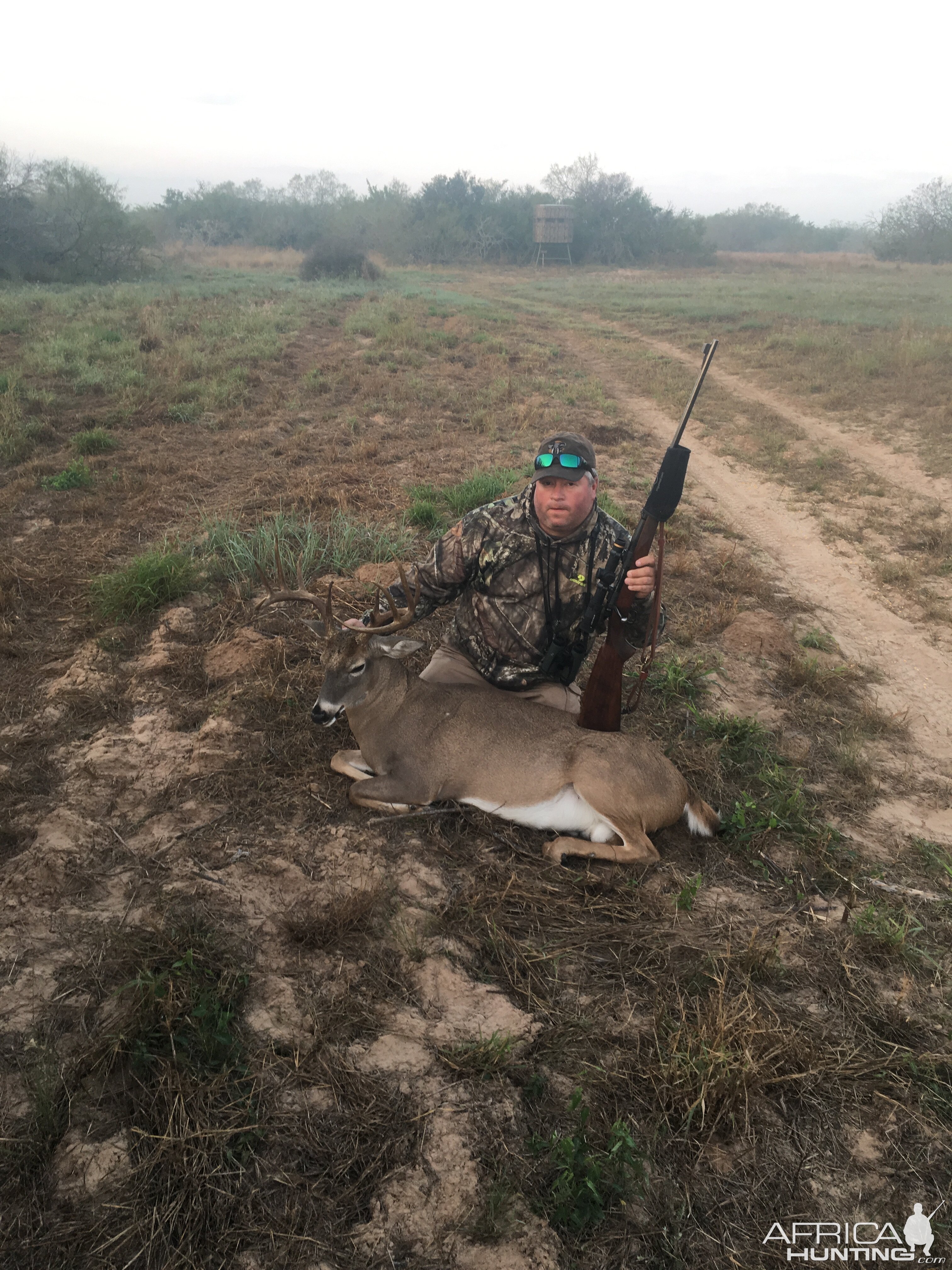 Mule Deer Hunt