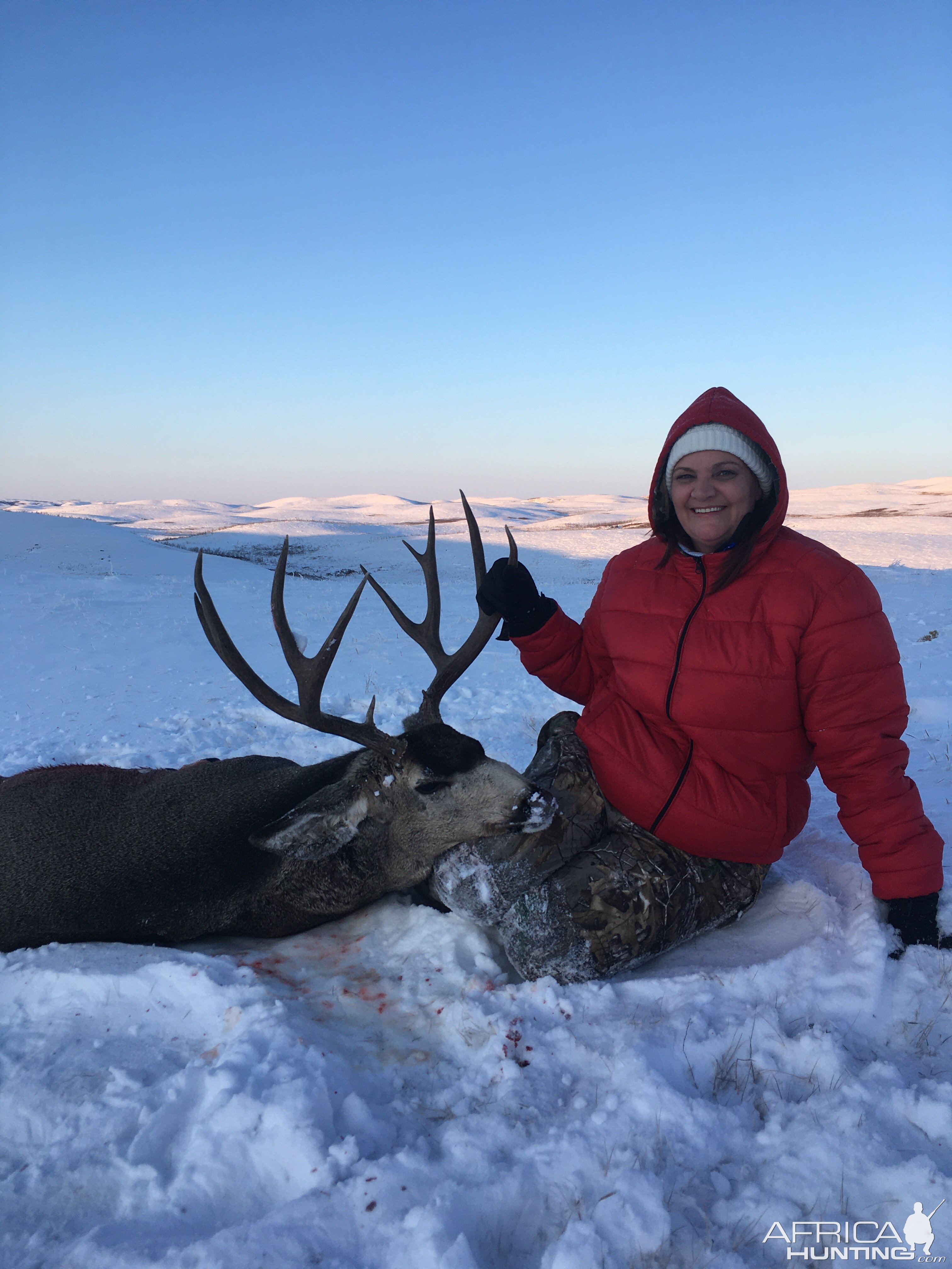 Mule Deer Hunting Canada