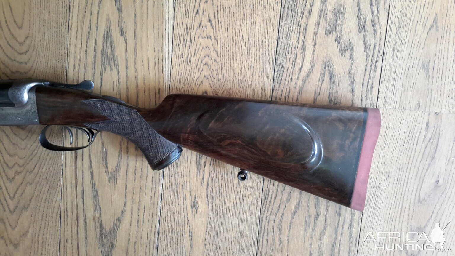 My .475 double rifle, now restocked in turkish walnut