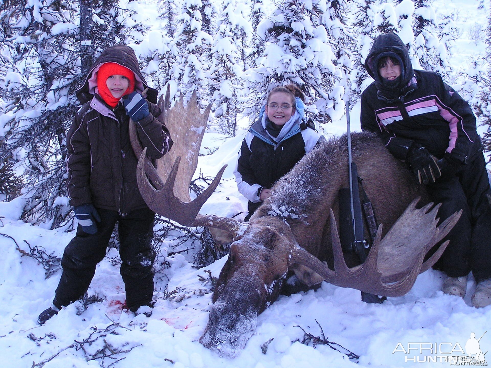 My daughters first BULL MOOSE