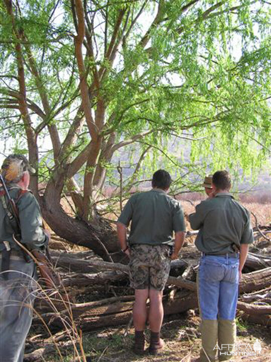 My Leopard Hunt with Motsomi Safaris in South Africa