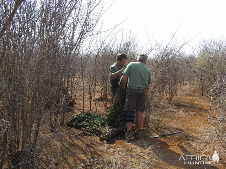 My Leopard Hunt with Motsomi Safaris in South Africa