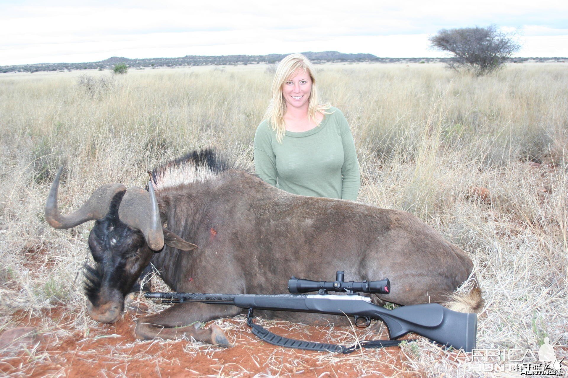 My wife Black Wildebeest