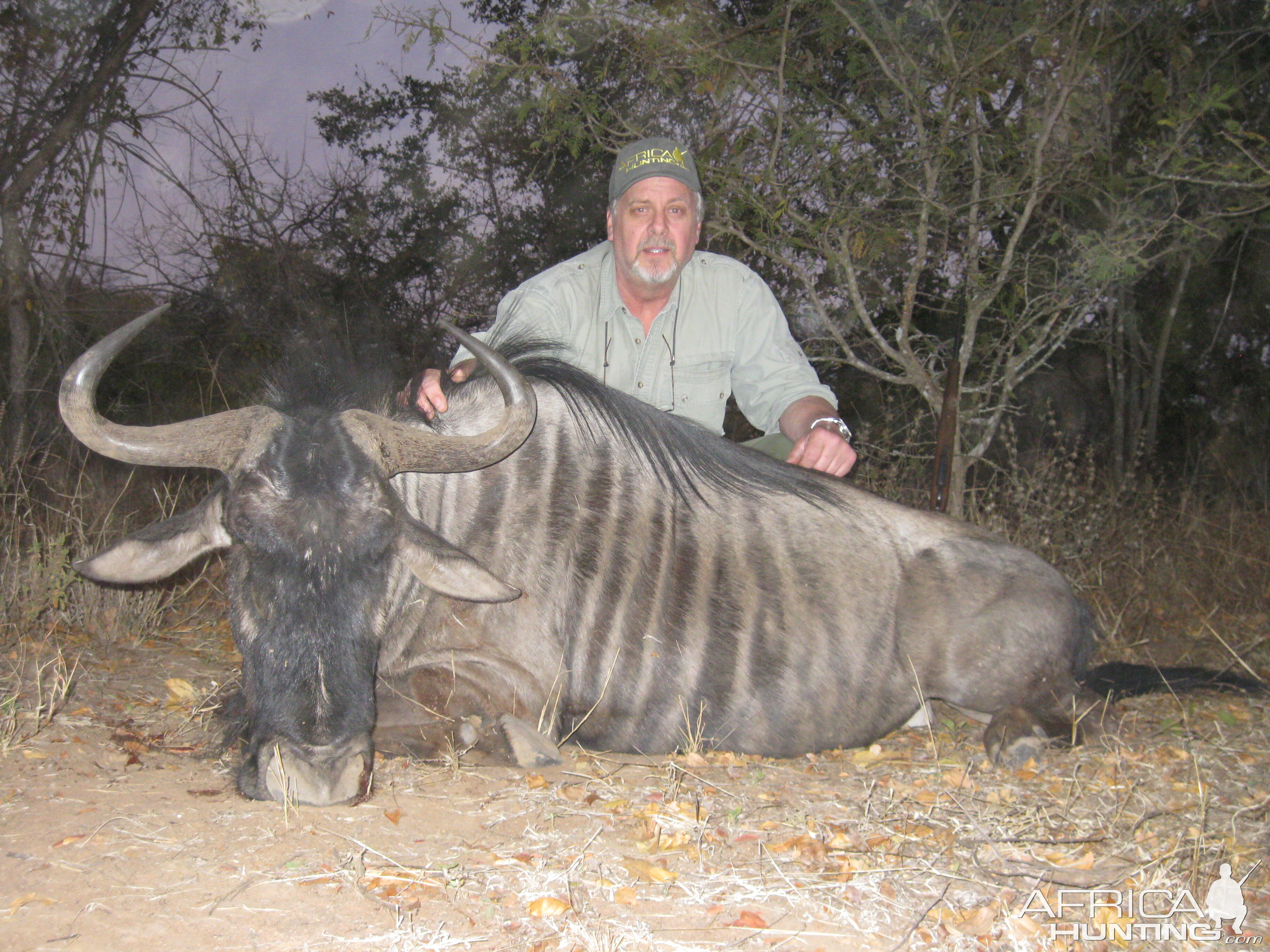 My wildebeest taken with Touch Africa in June 2011