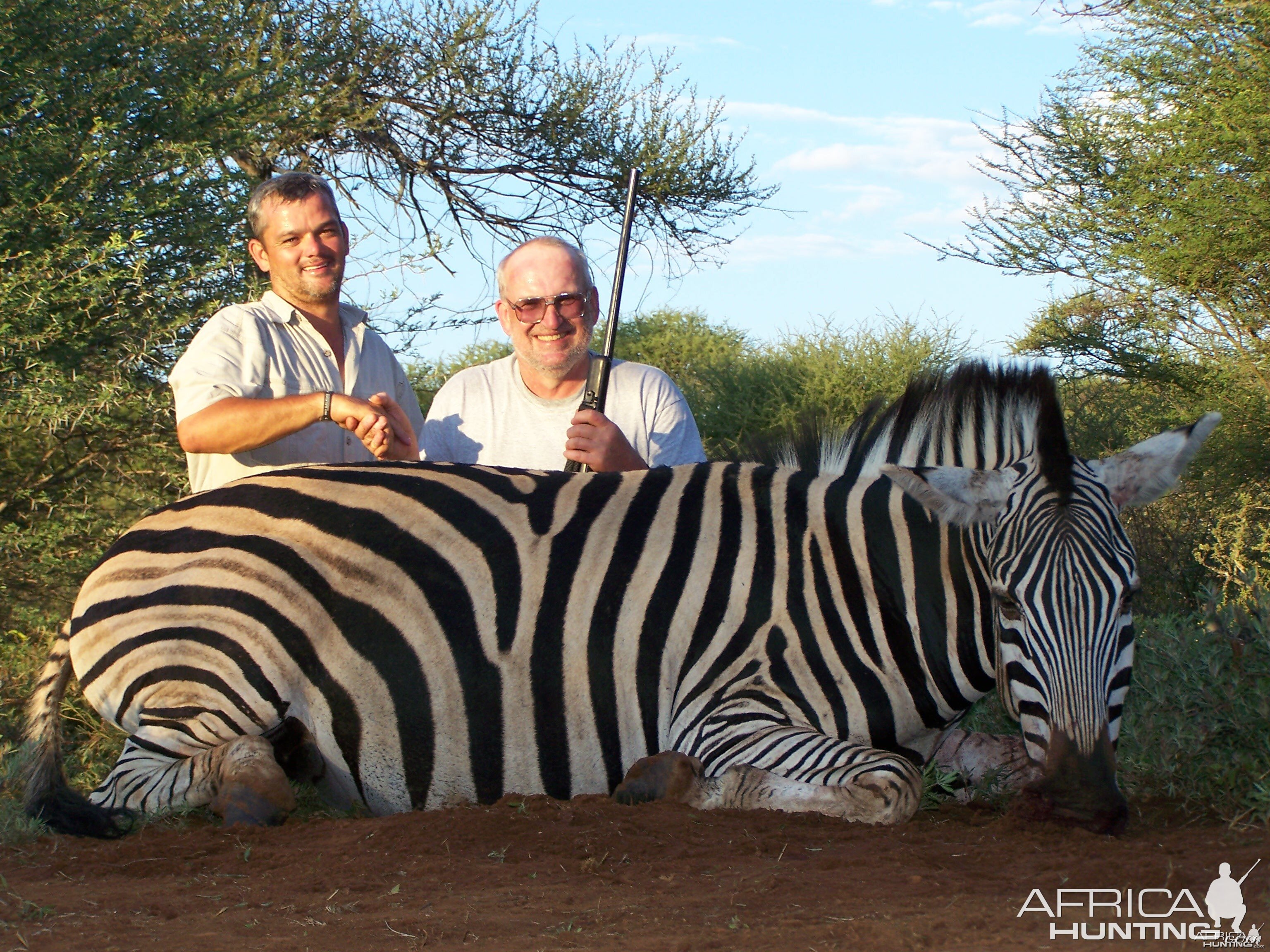 My Zebra