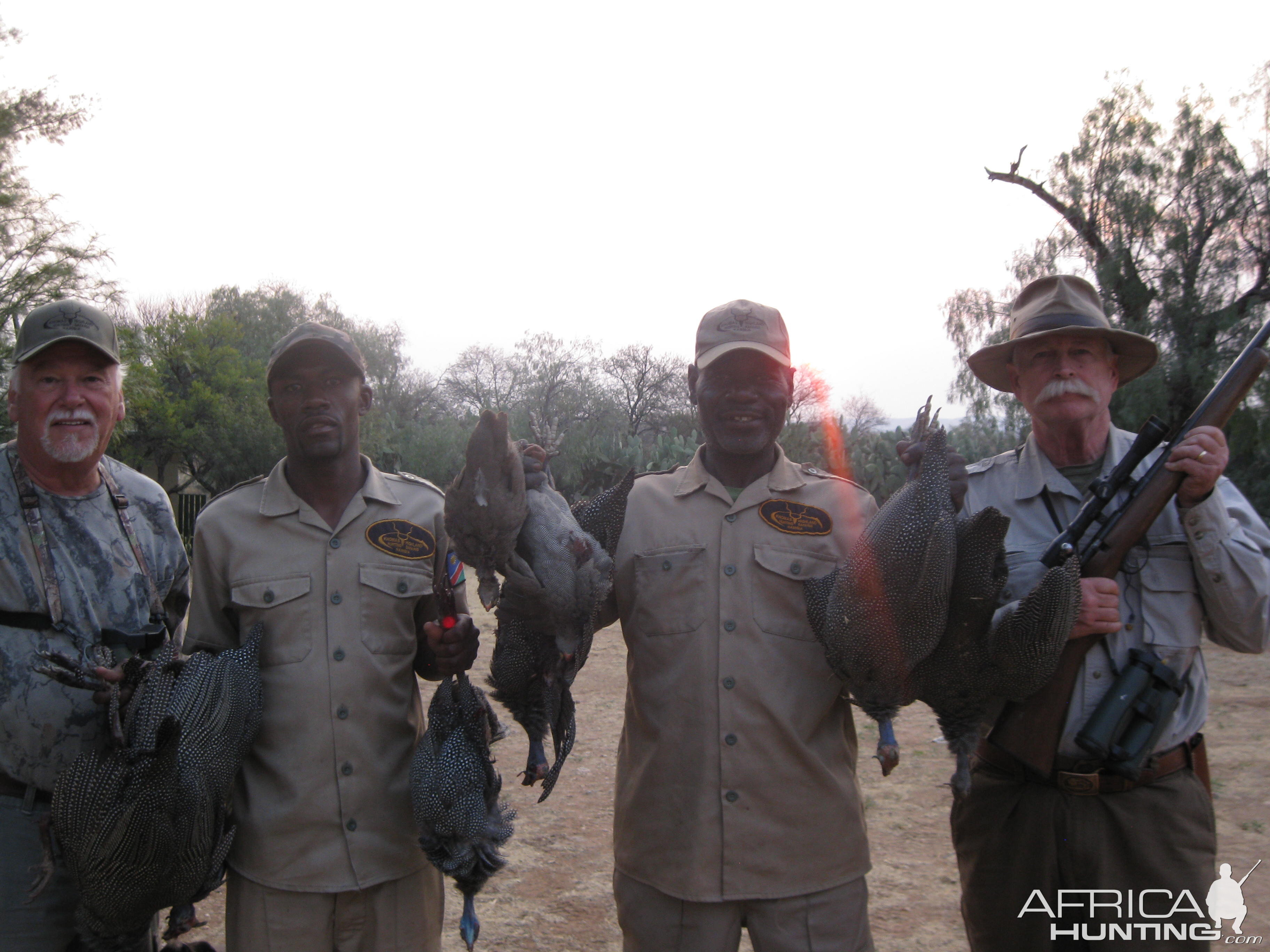 Namibia Bird Hunting Guineafowl