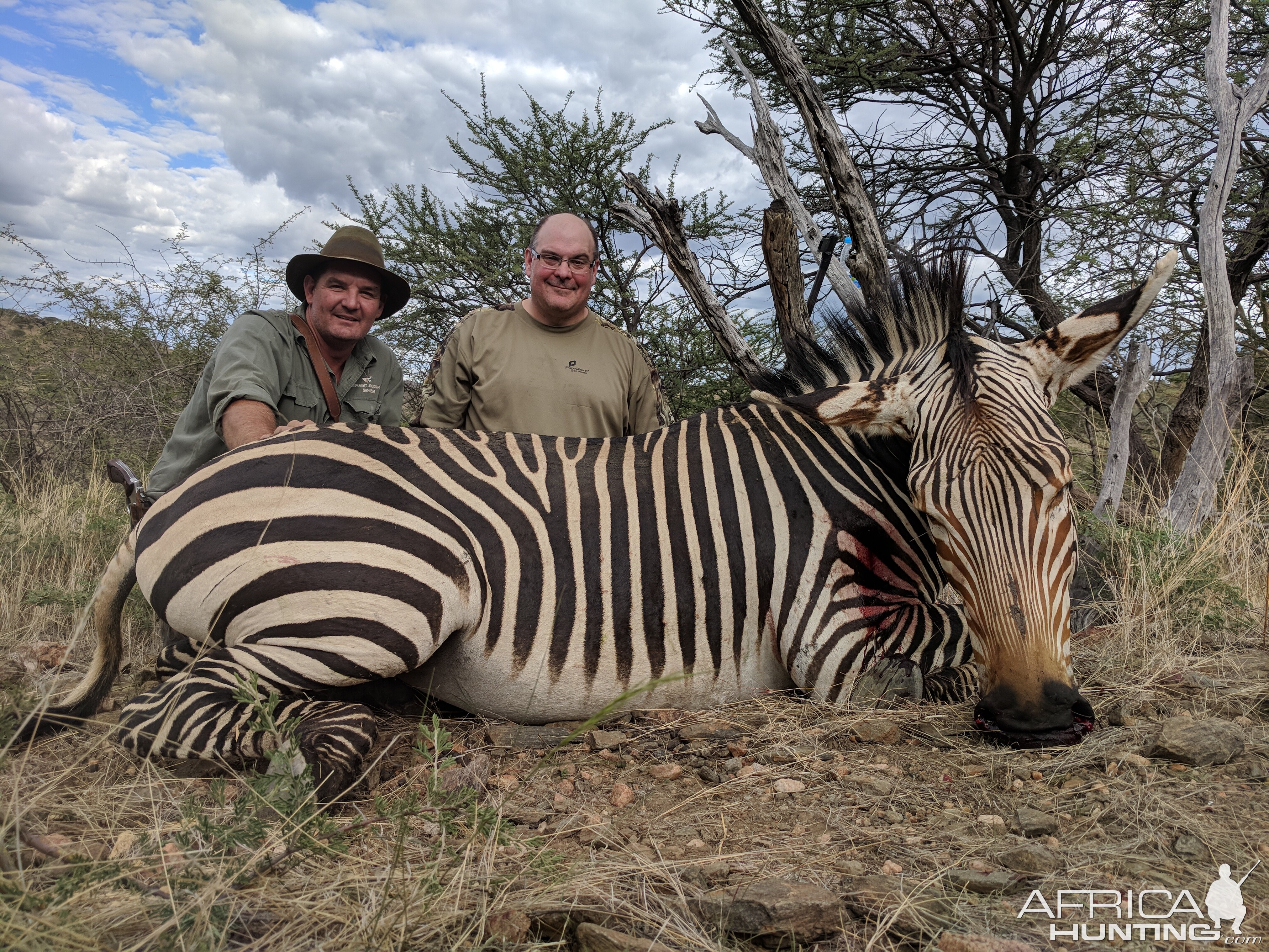 Namibia Hartmann's Mountain Zebra Hunt