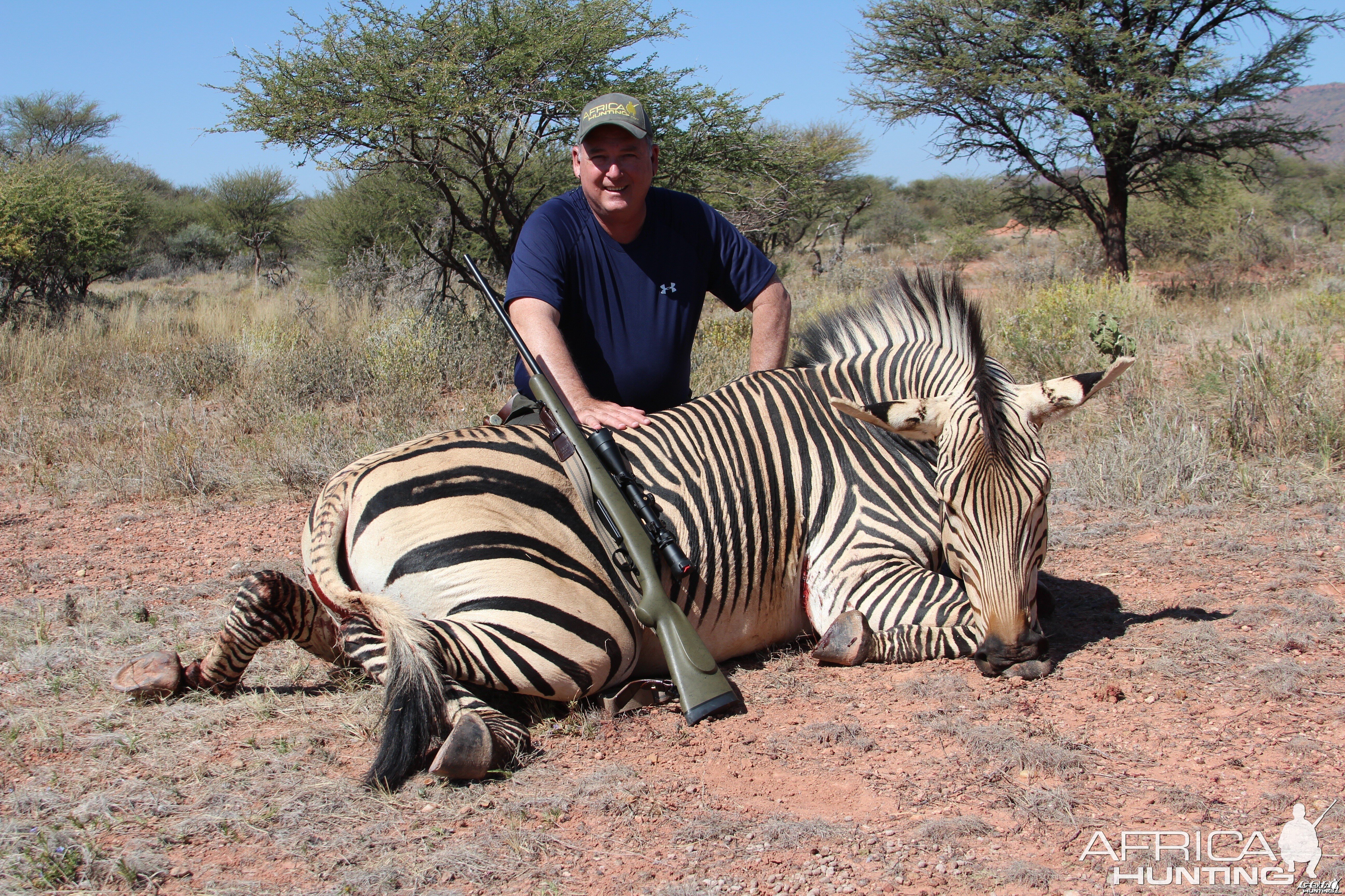 Namibia Hartman's zebra