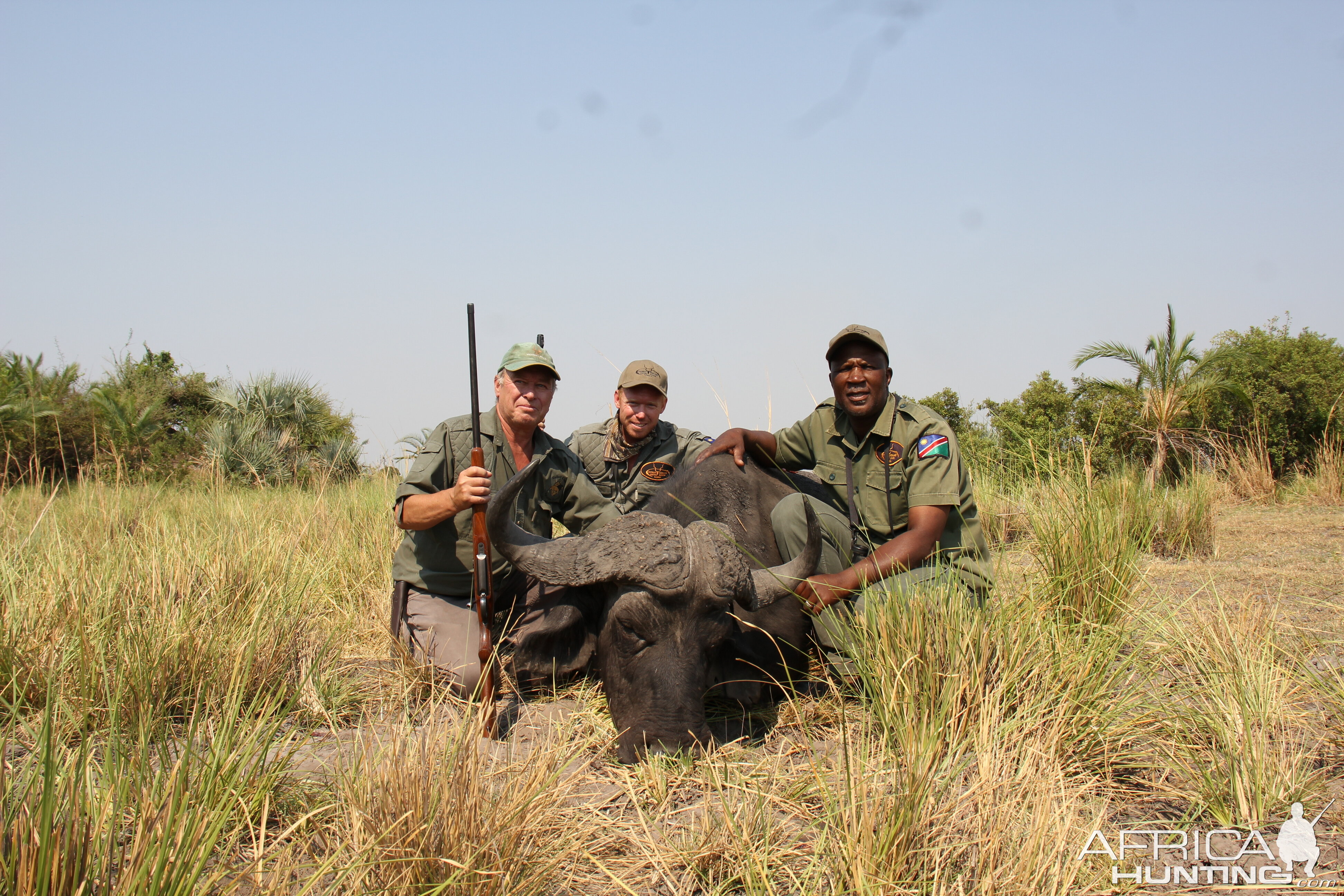 Namibia Hunt Cape Buffalo