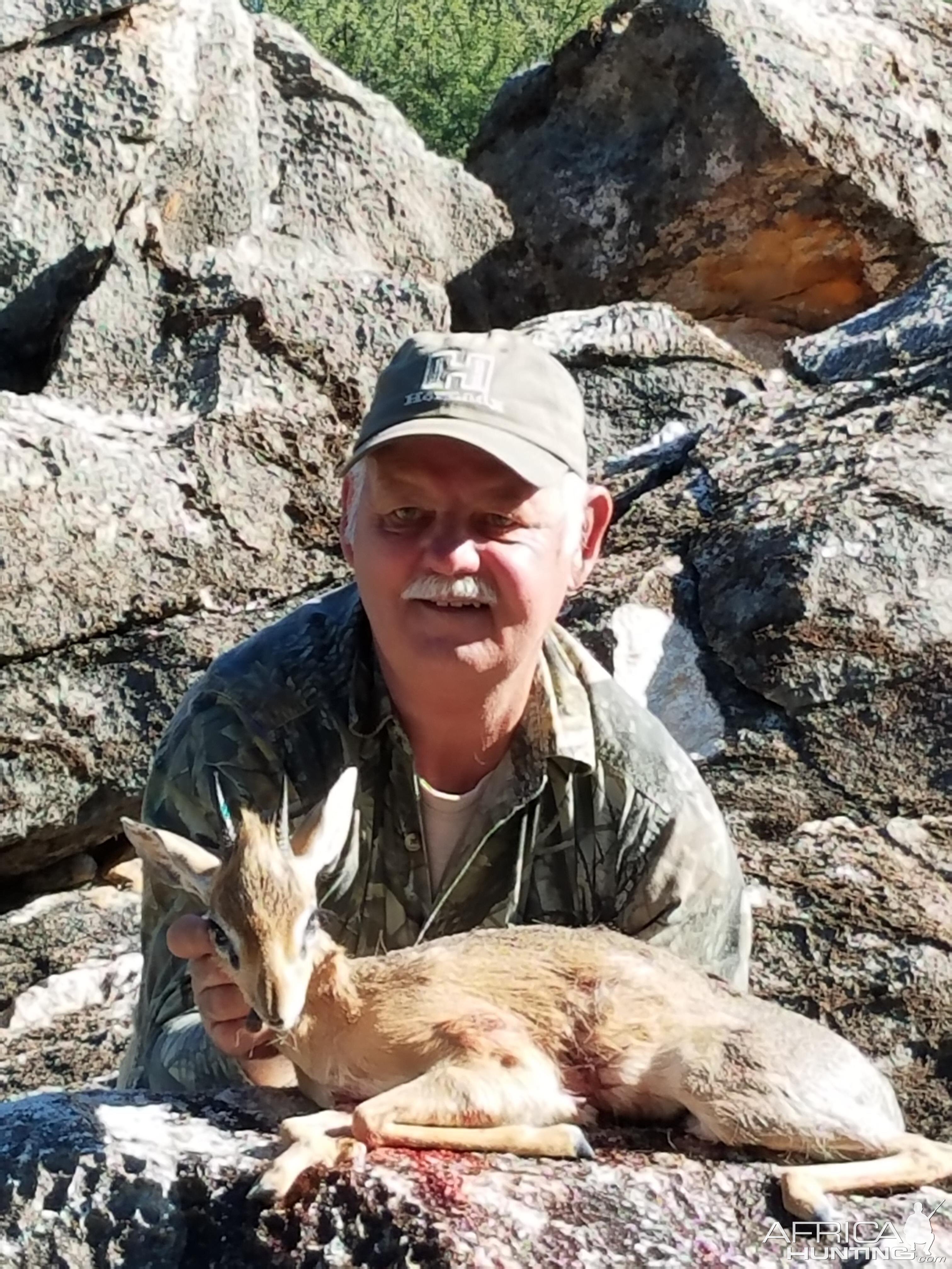 Namibia Hunt Damara Dik DIk