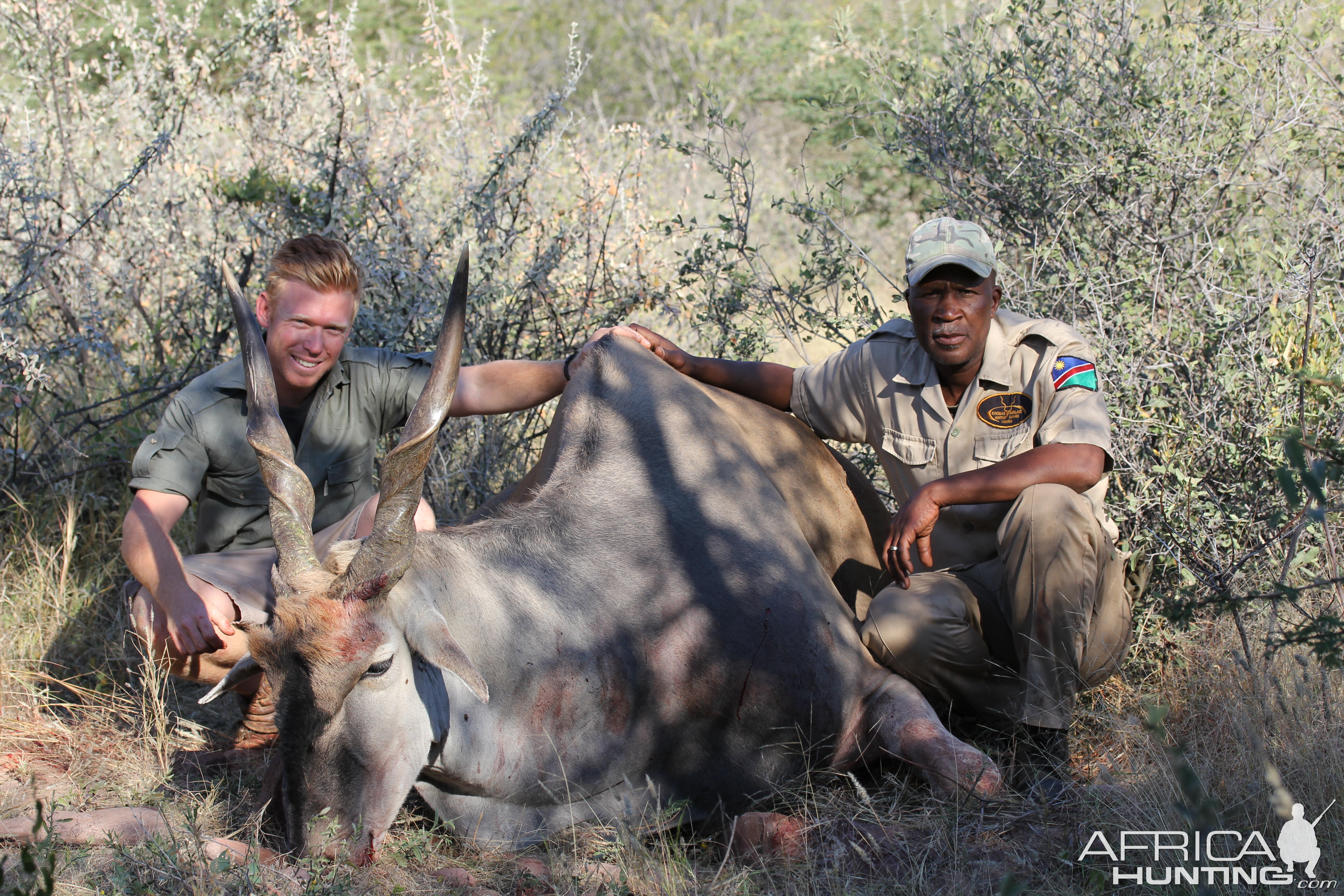 Namibia Hunt Eland