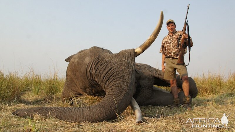 Namibia Hunt Elephant