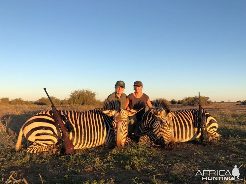 Namibia Hunt Hartmann's Mountain Zebra