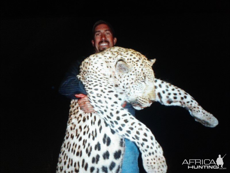 Namibia Hunt Leopard