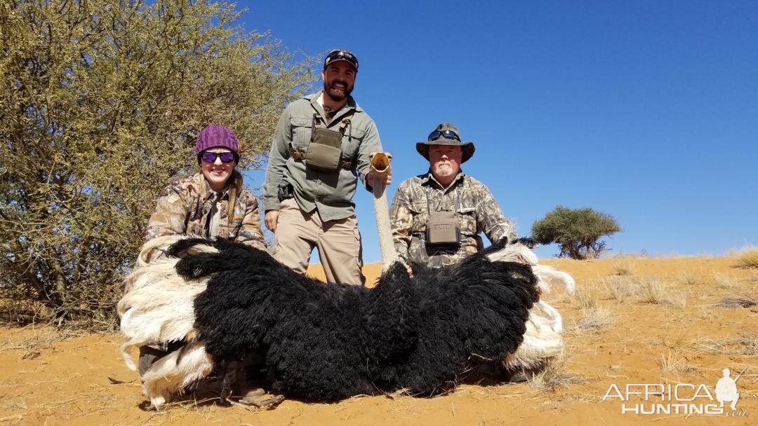 Namibia Hunt Ostrich