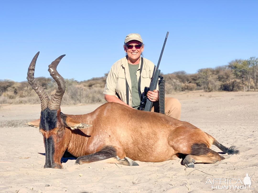 Namibia Hunt Red Hartebeest