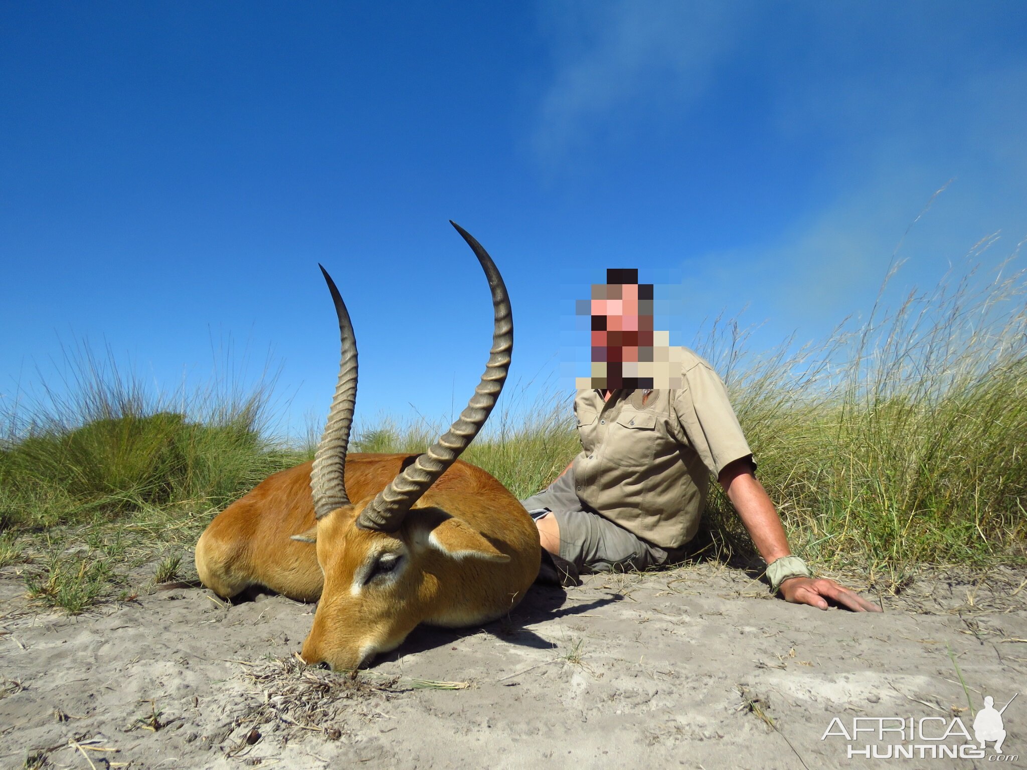 Namibia Hunt Red Lechwe