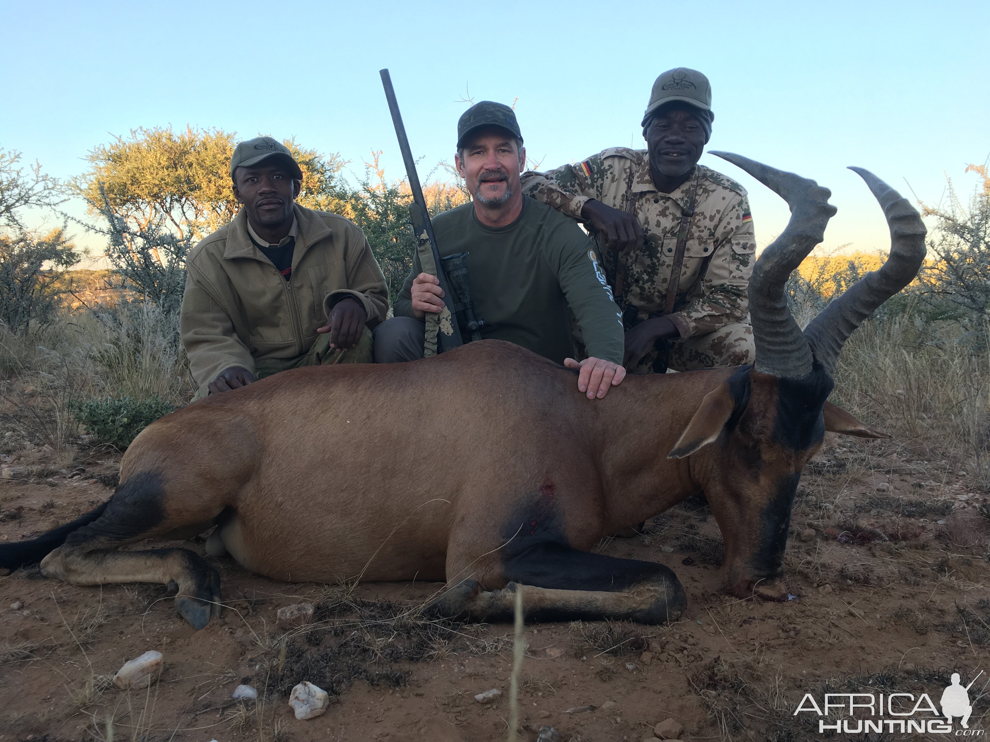 Namibia Hunt Red Wildebeest