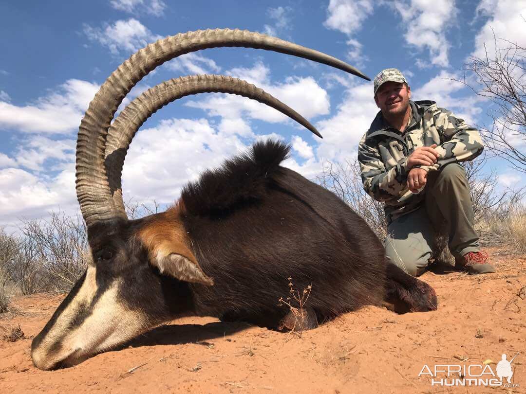 Namibia Hunt Sable Antelope