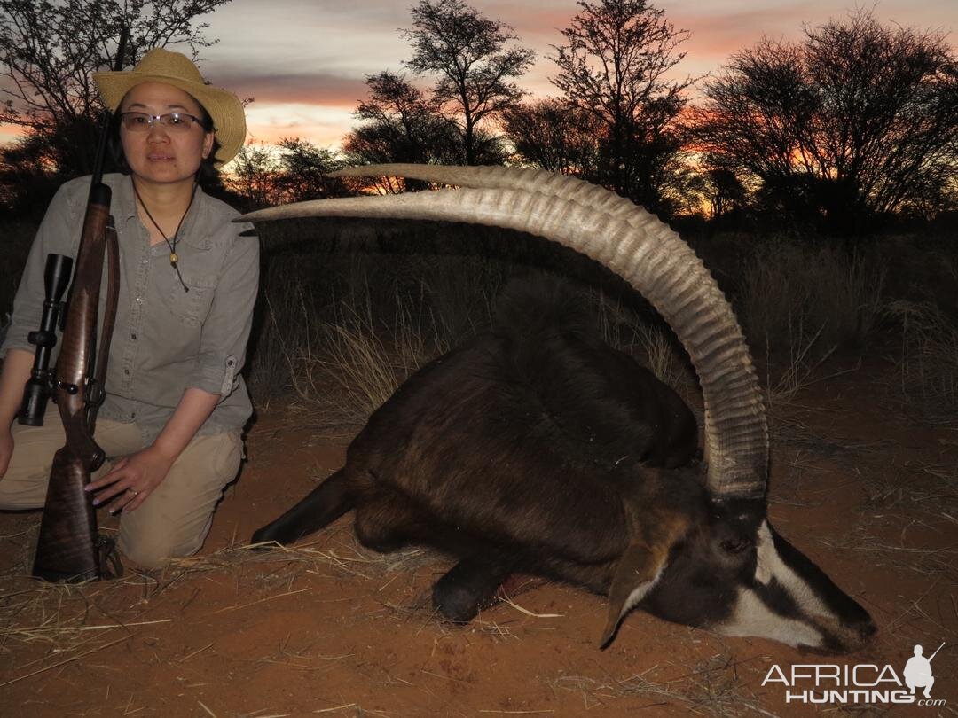 Namibia Hunt Sable Antelope