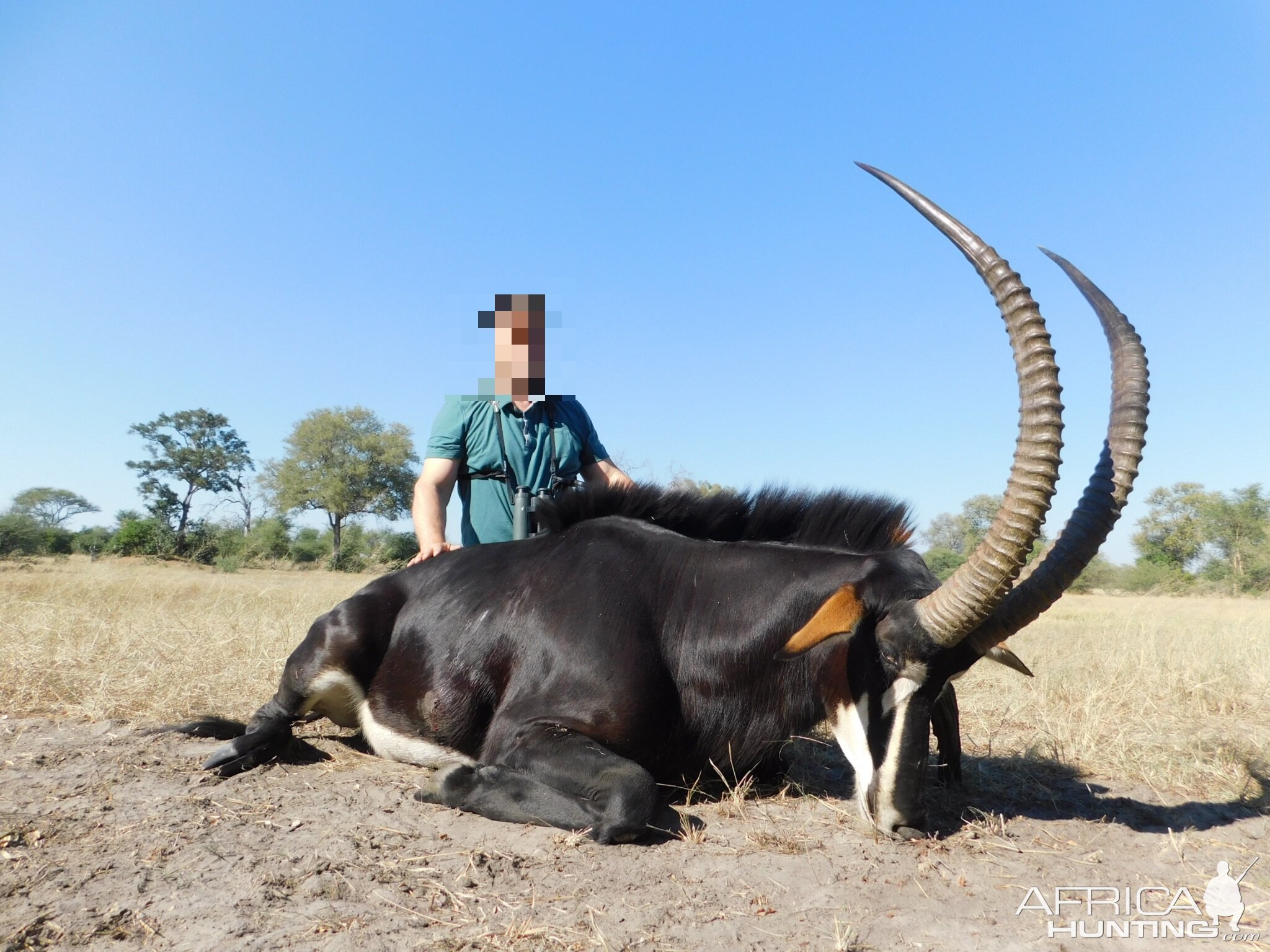 Namibia Hunt Sable Antelope