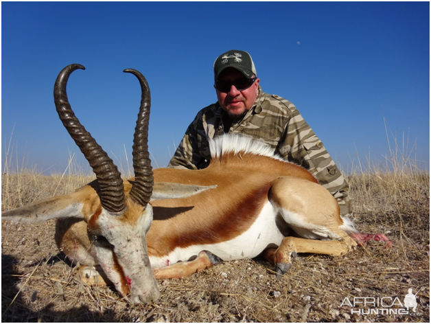 Namibia Hunt Springbok