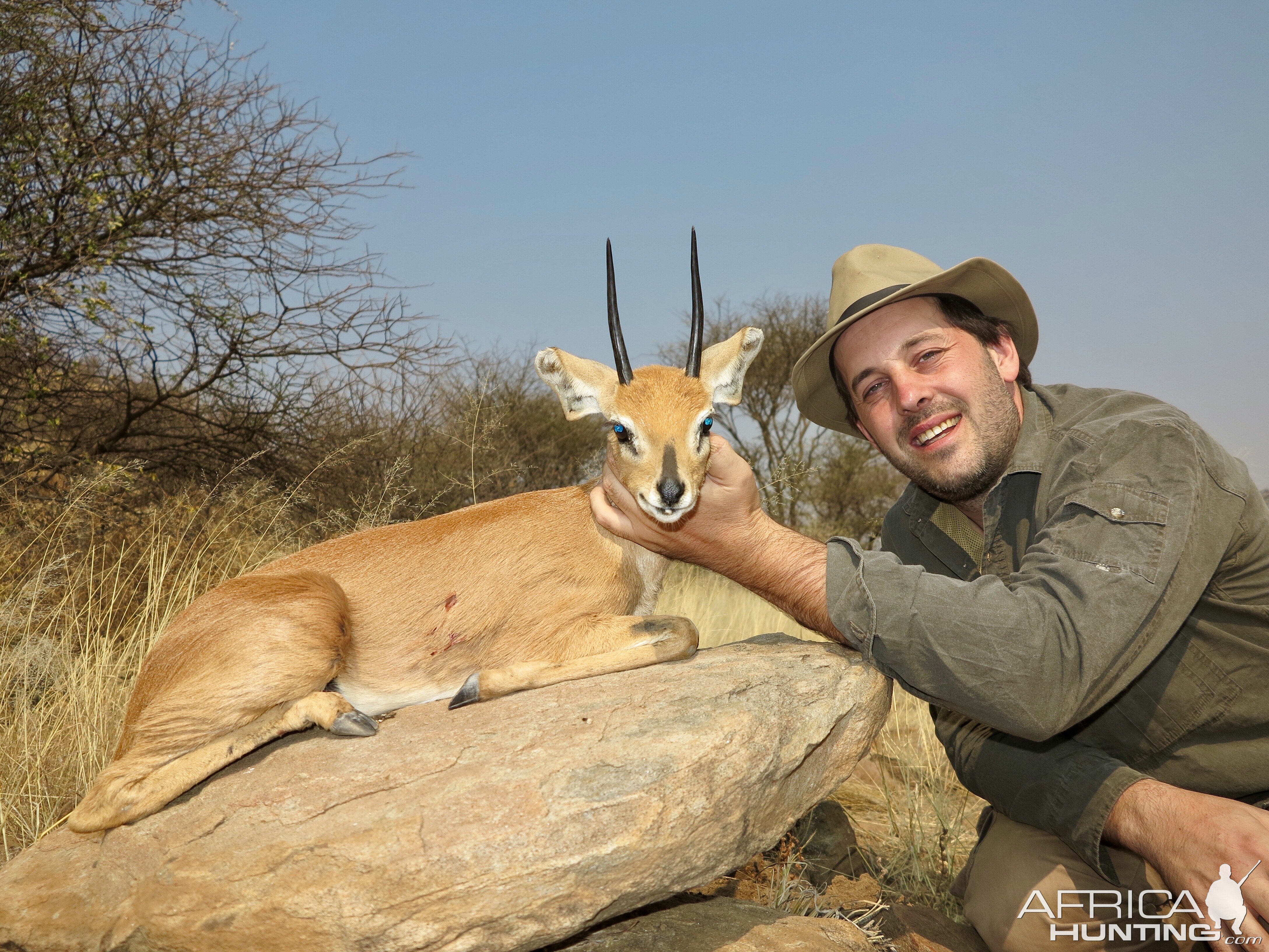 Namibia Hunt Steenbok