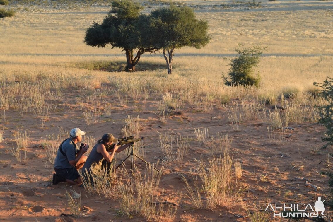 Namibia Hunt