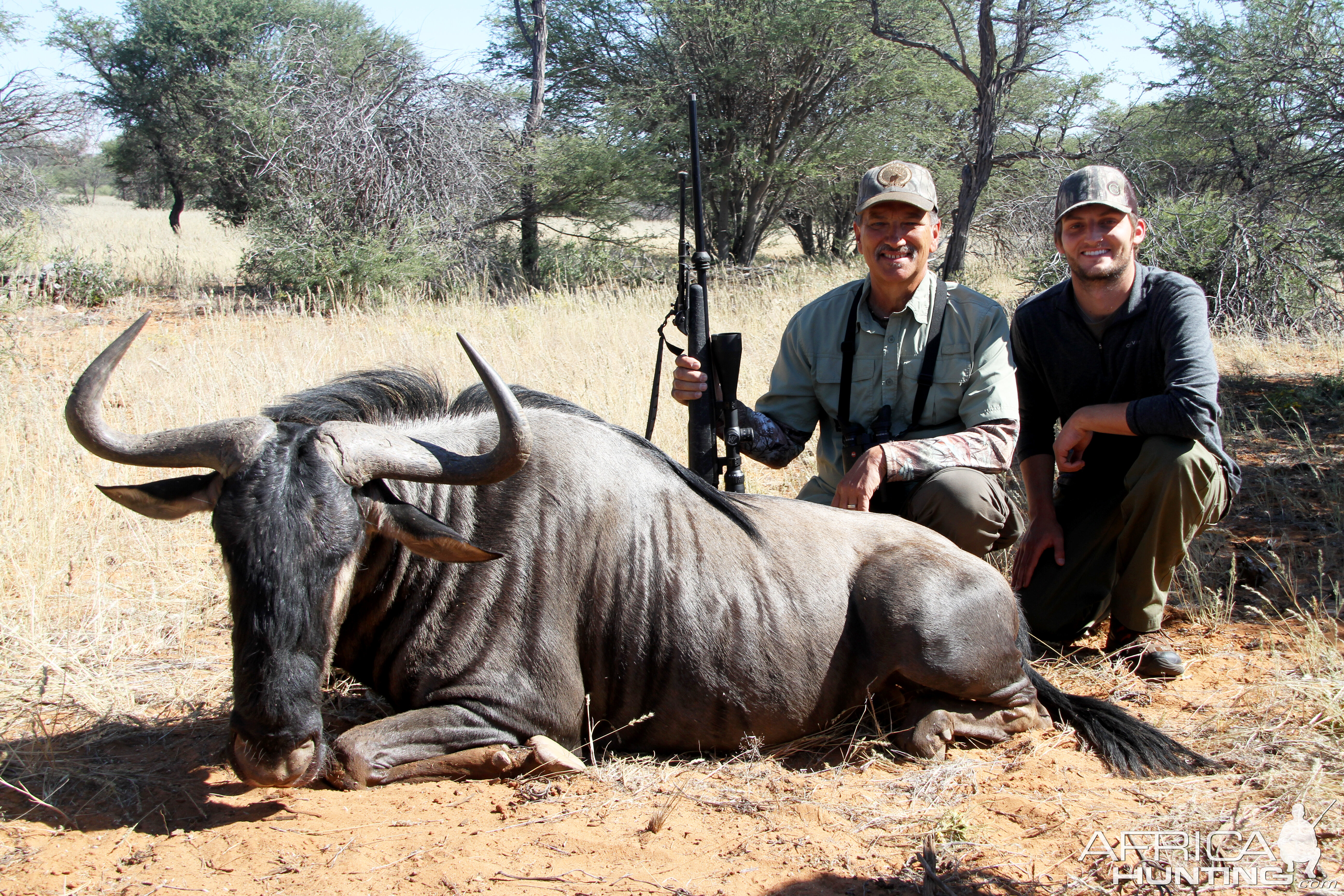 Namibia Hunting Blue Wildebeest