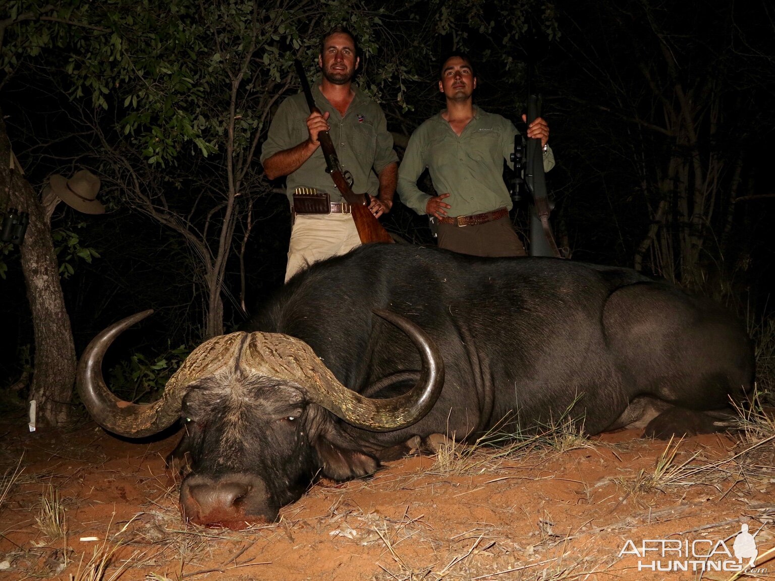 Namibia Hunting Buffalo