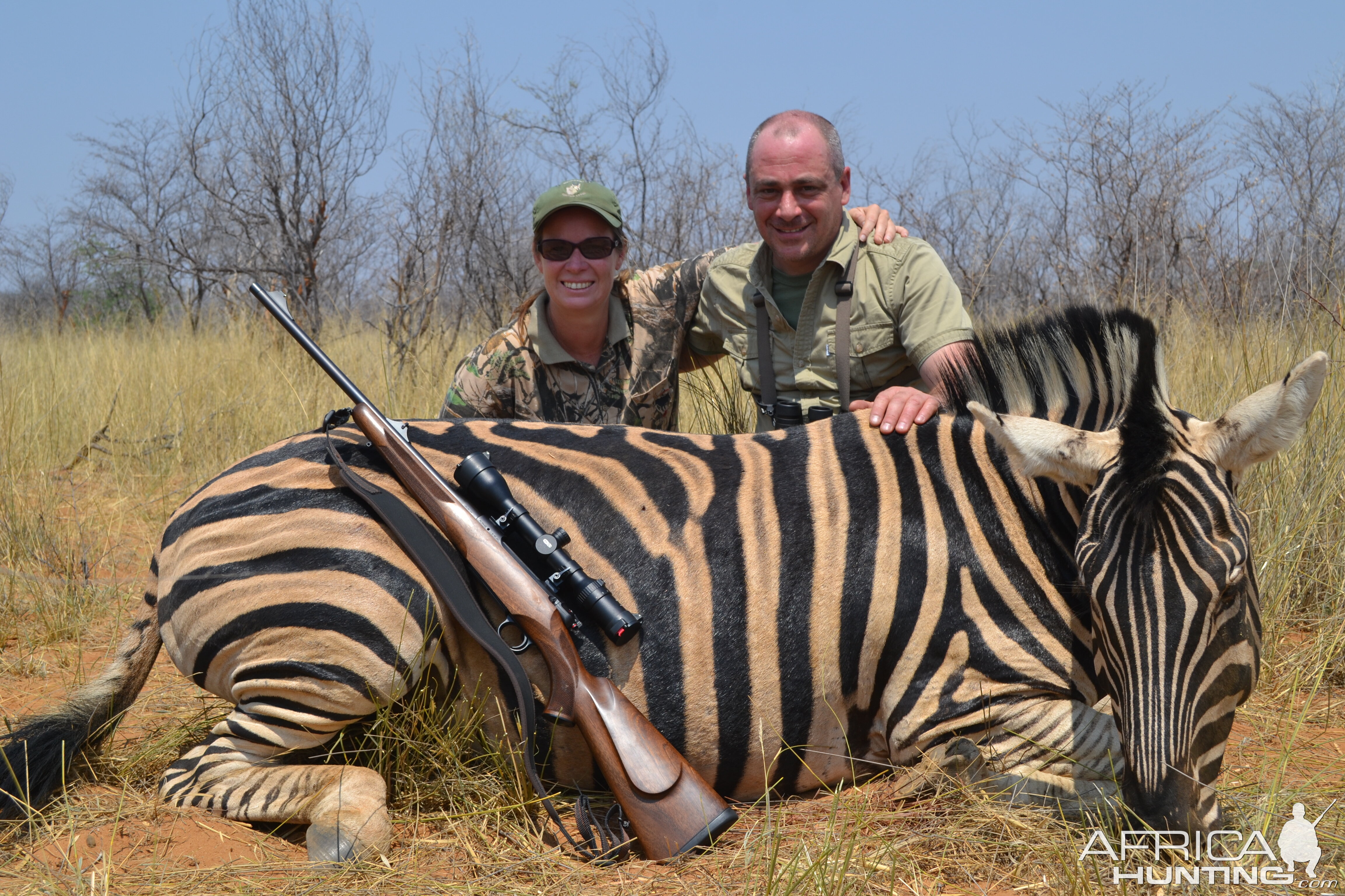 Namibia Hunting Burchell's Plain Zebra