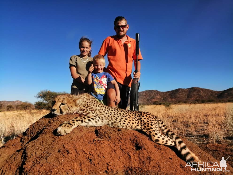 Namibia Hunting Cheetah