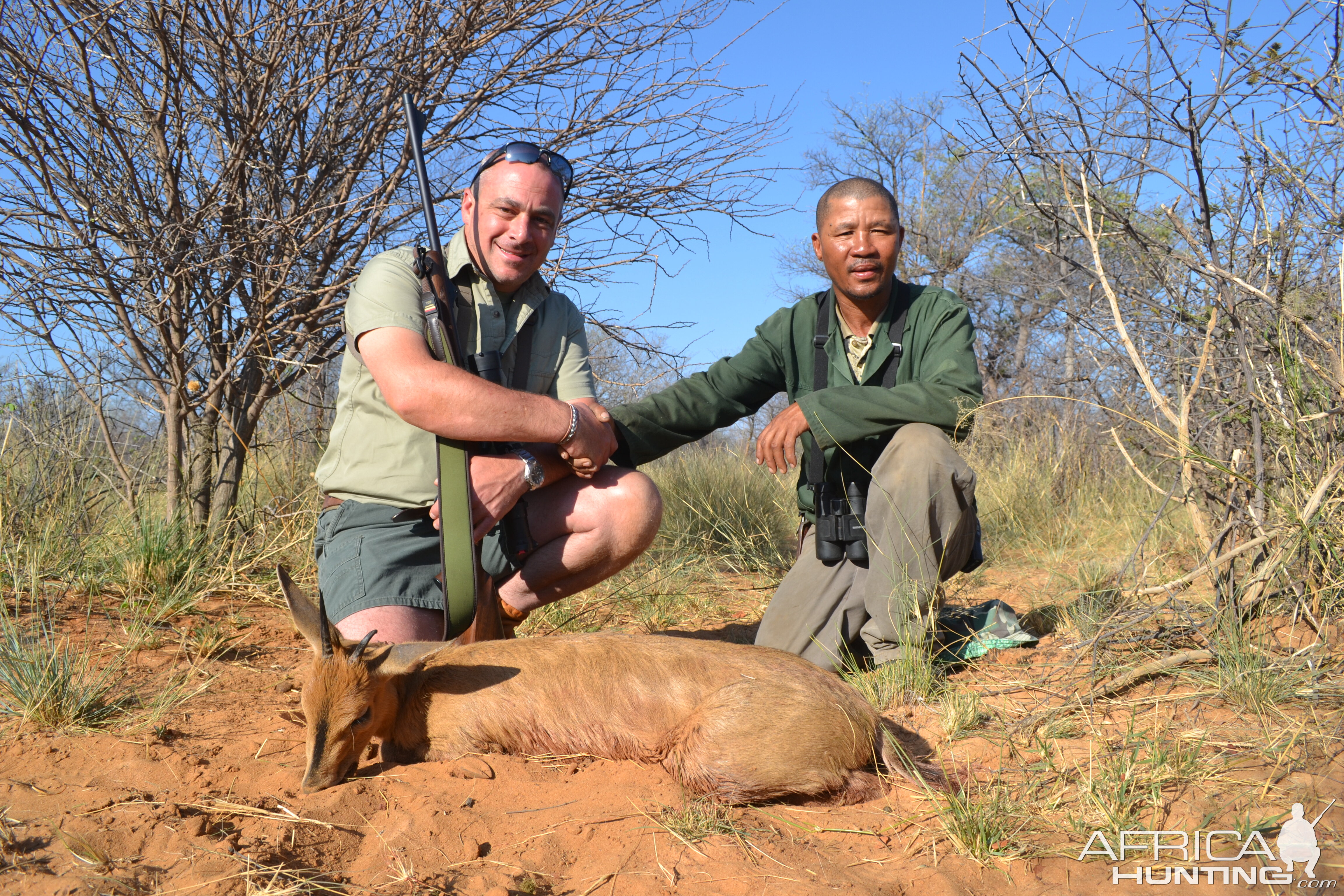 Namibia Hunting Duiker