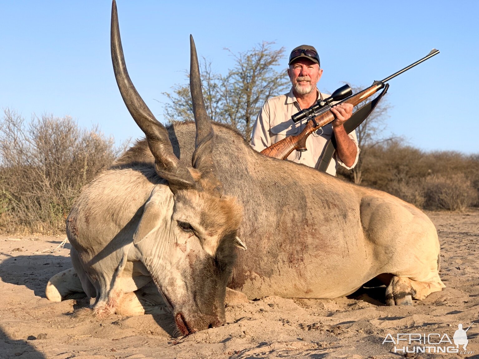 Namibia Hunting Eland