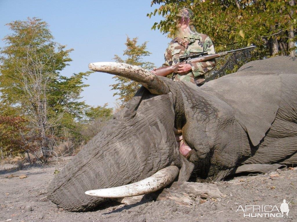 Namibia Hunting Elephant