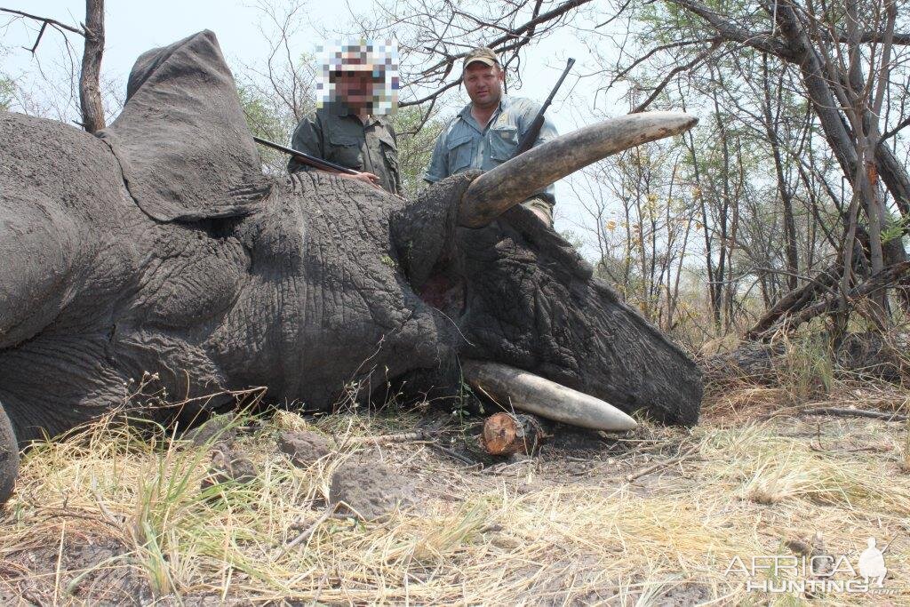 Namibia Hunting Elephant