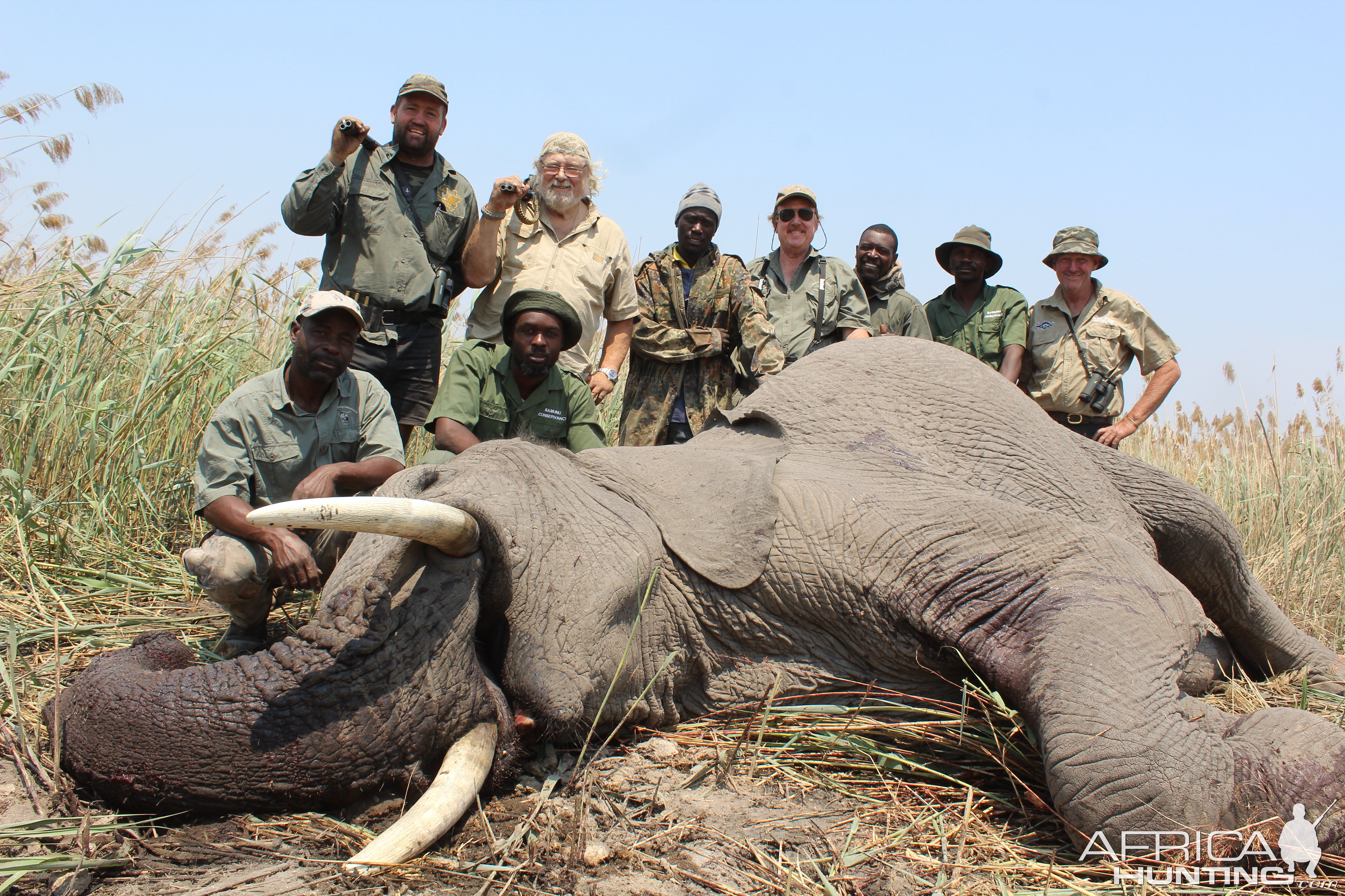 Namibia Hunting Elephant