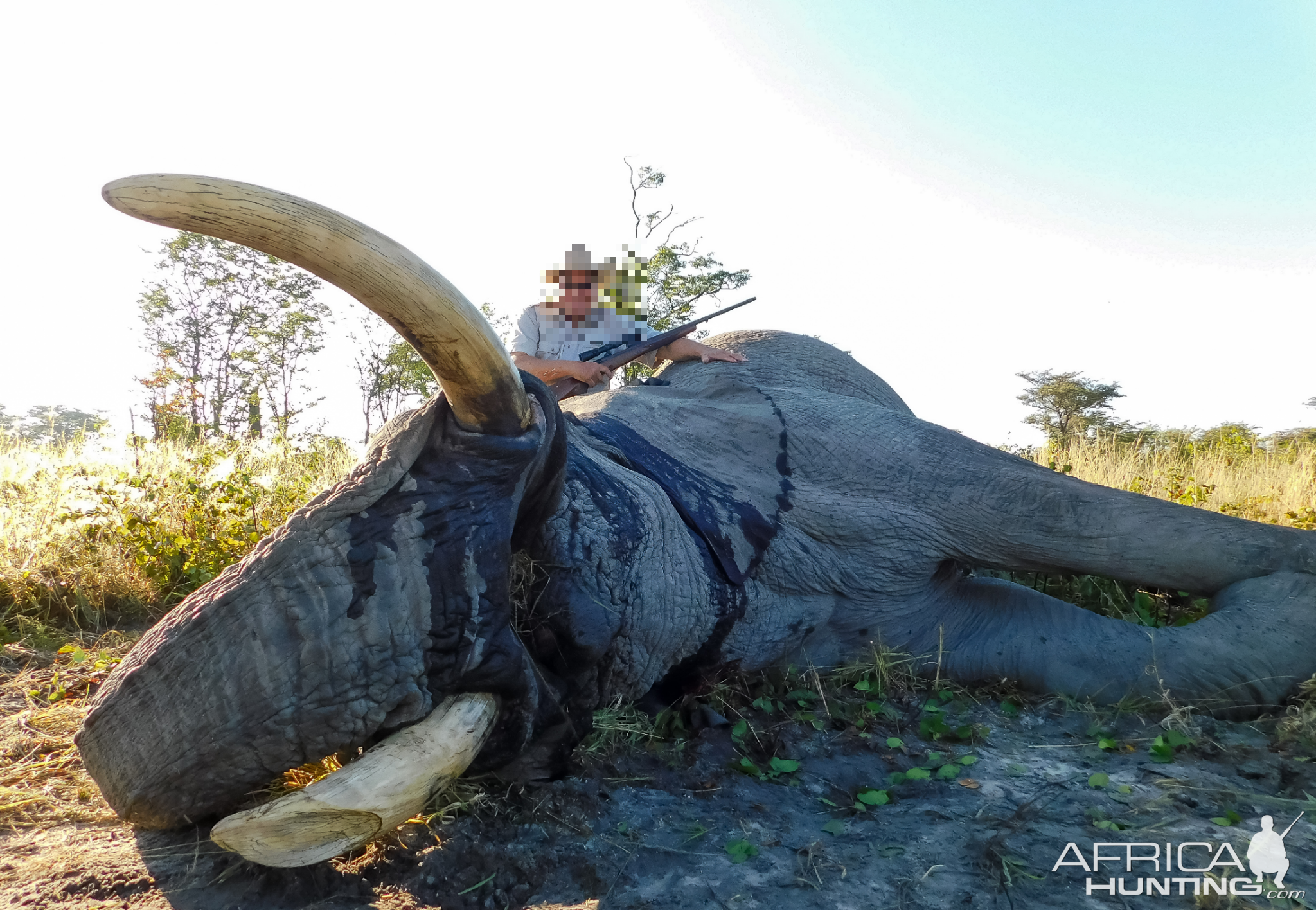 Namibia Hunting Elephant