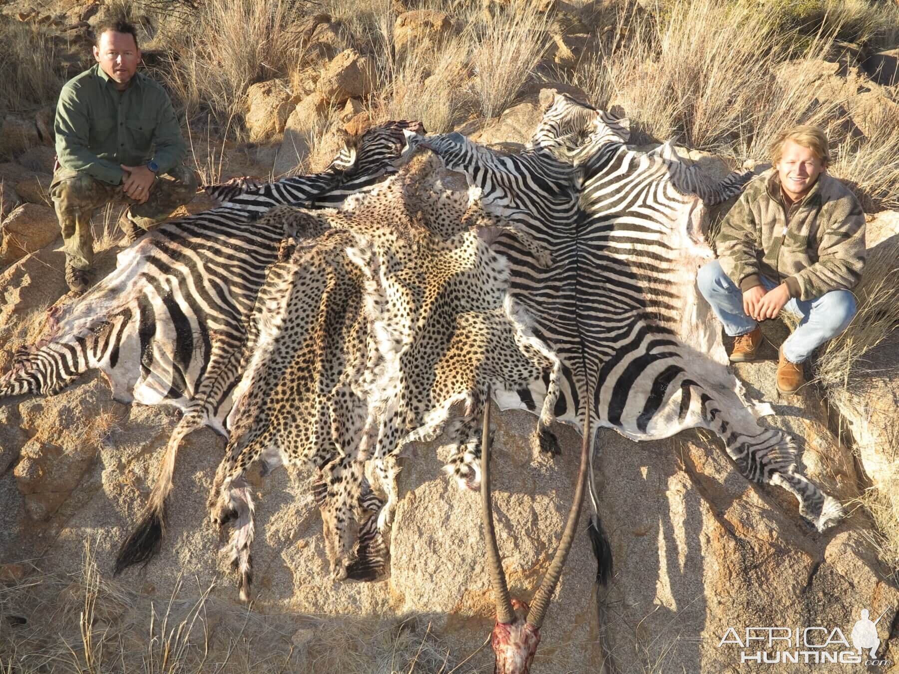 Namibia Hunting Hartmann's Mountain Zebra,  Cheetah & Gemsbok