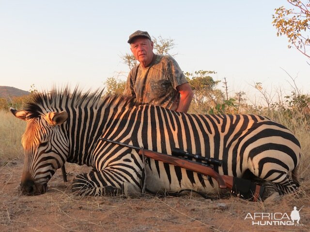 Namibia Hunting Hartmann's Mountain Zebra