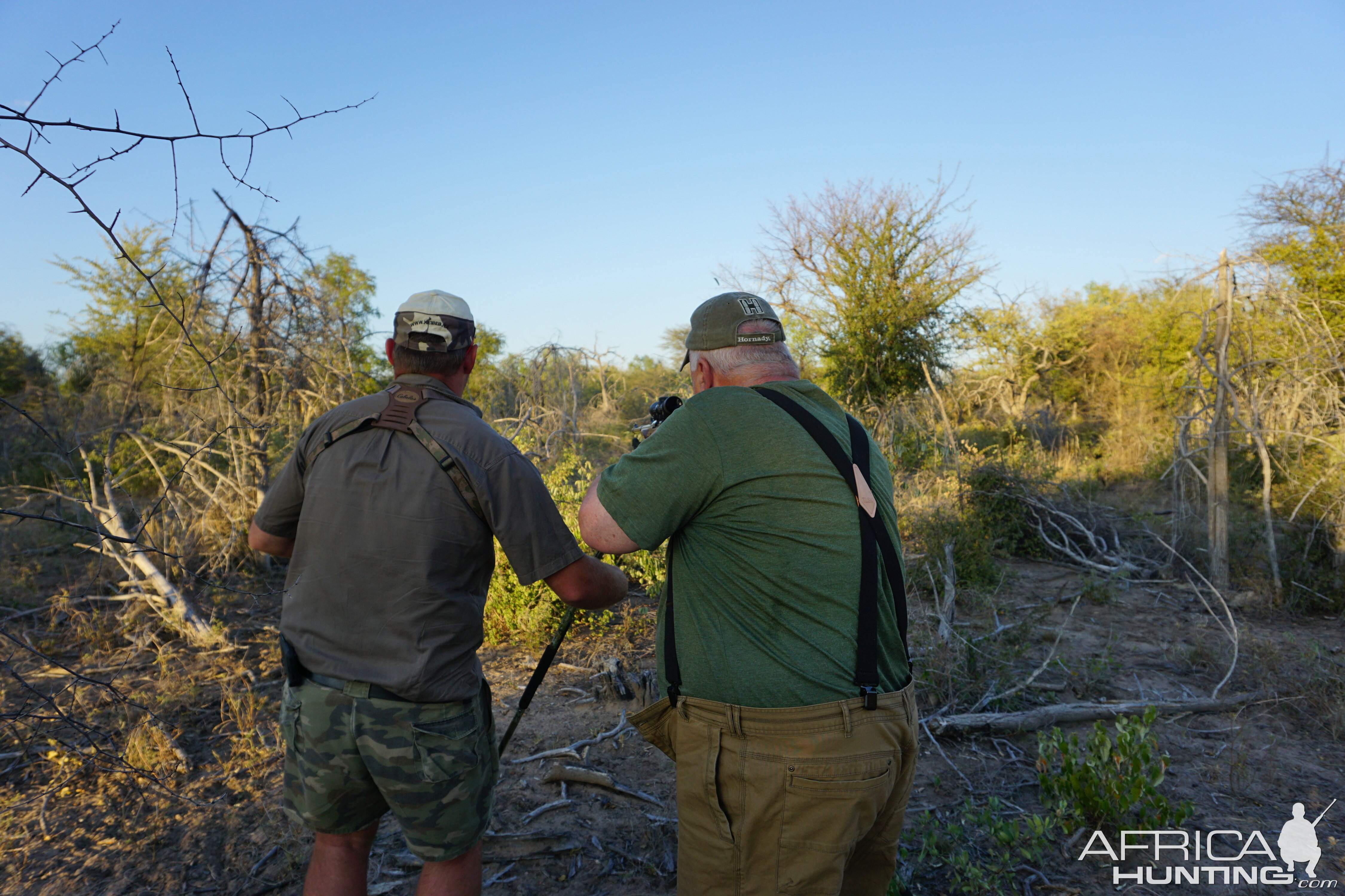 Namibia Hunting Hartmann's Mountain Zebra