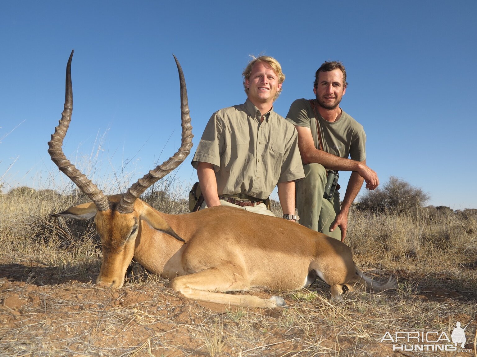 Namibia Hunting Impala