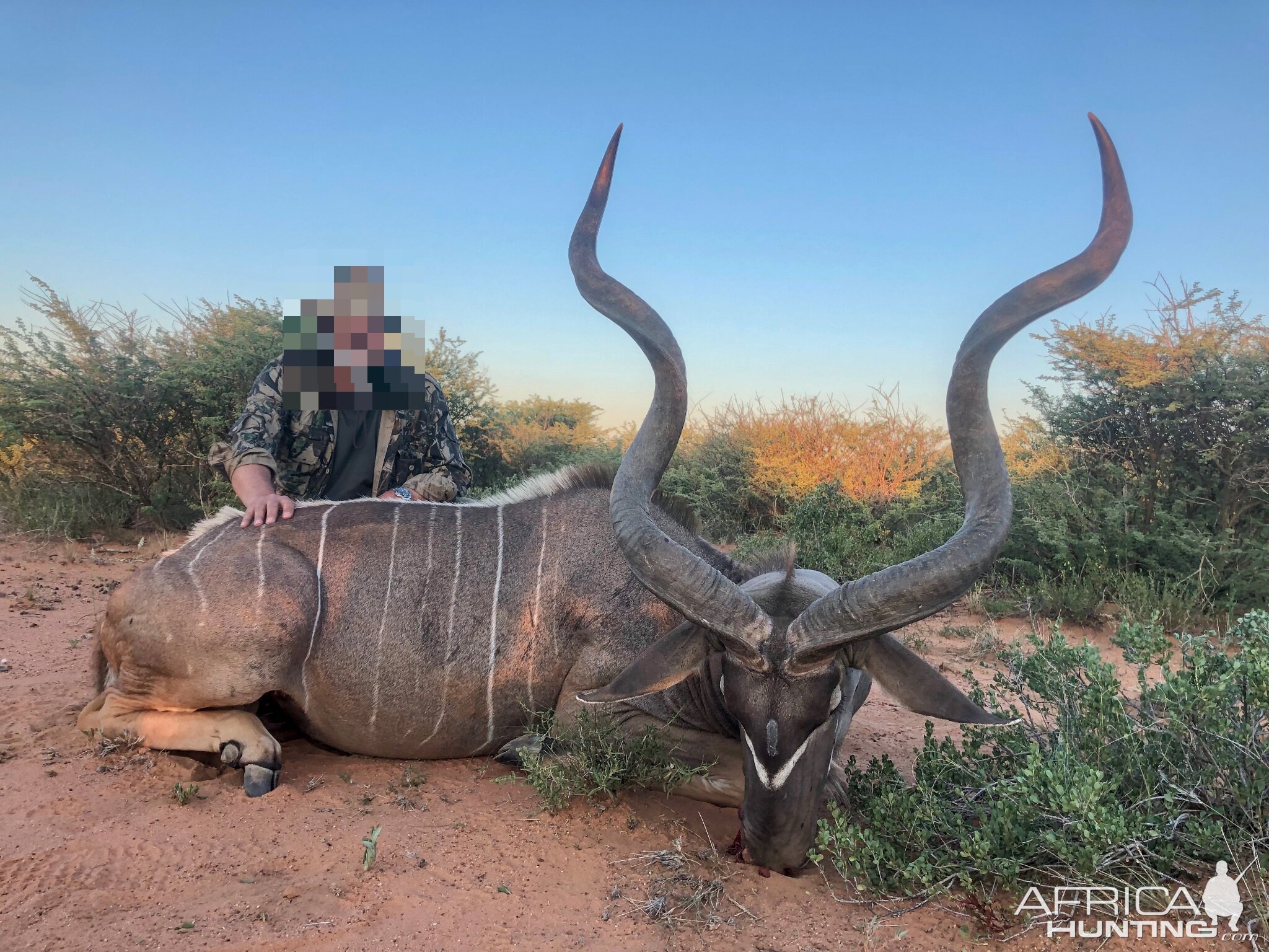 Namibia Hunting Kudu