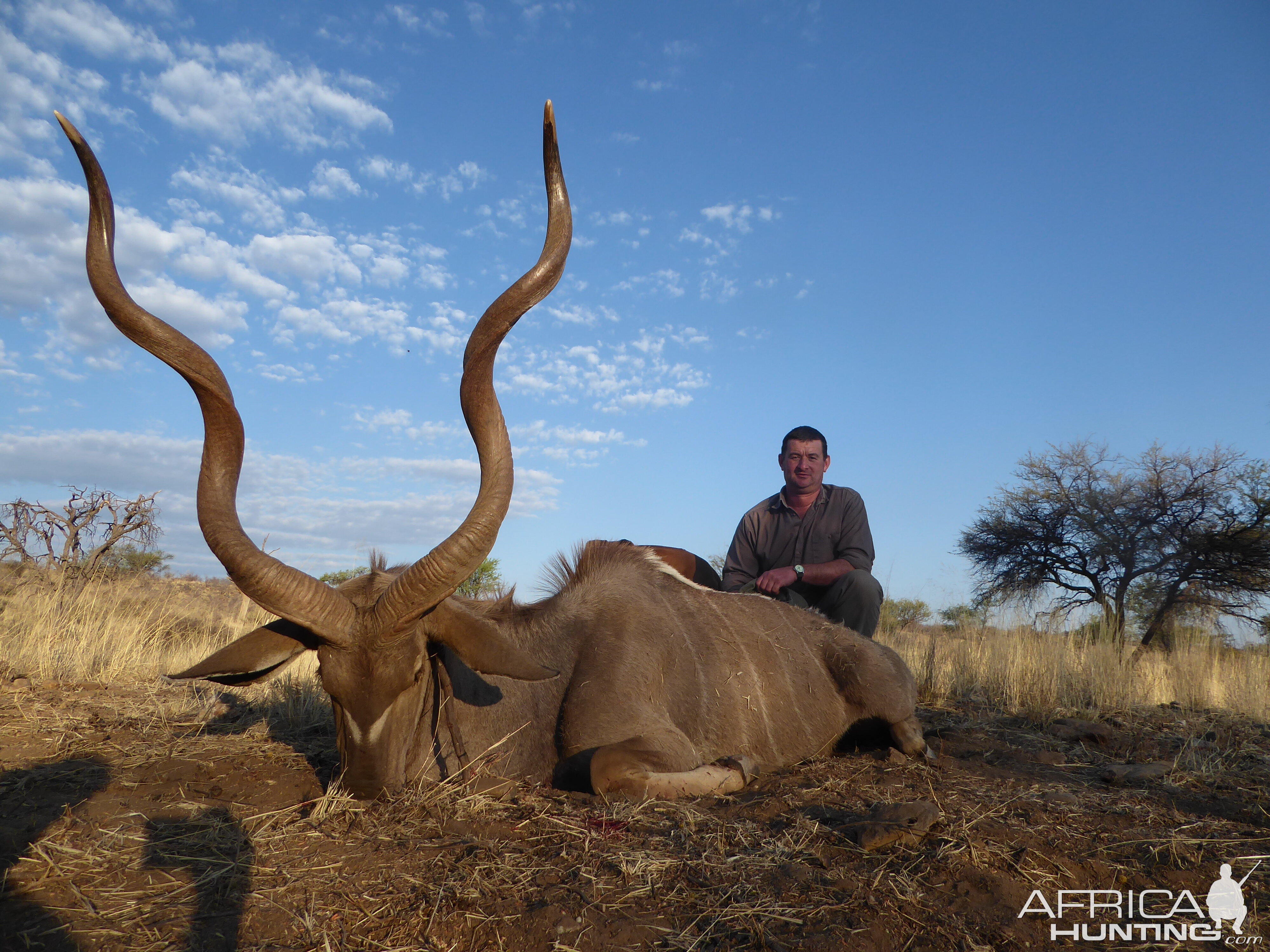 Namibia Hunting Kudu